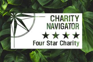 Charity Navigator stamp