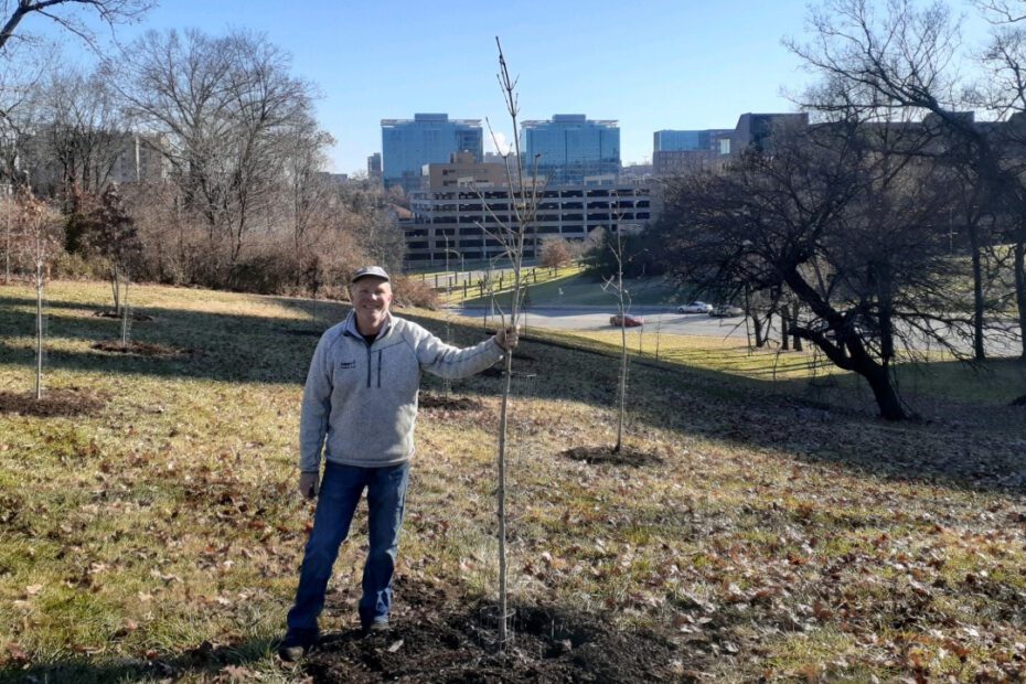 Dave Gamstetter holding a freshly planted tree