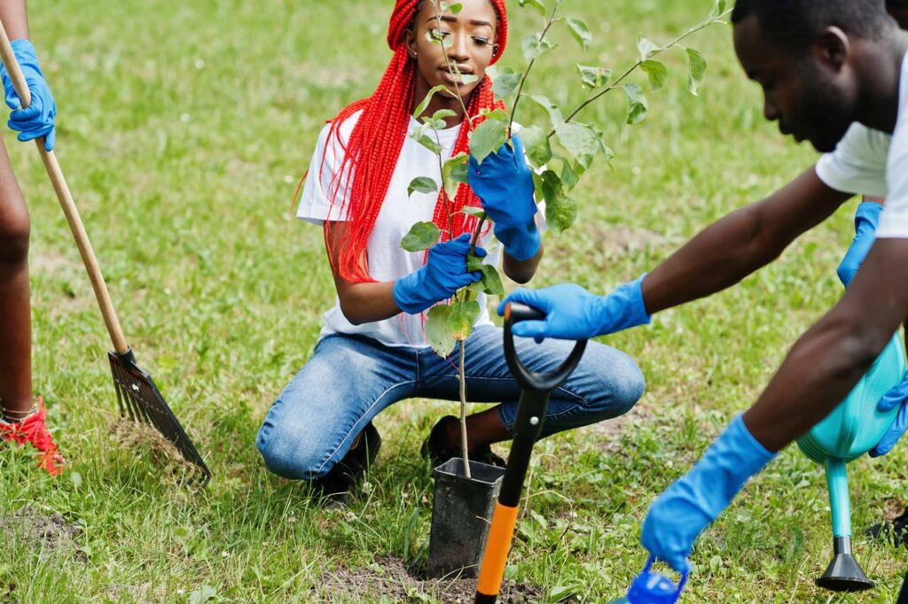 A woman planting a tree in the Fall ReLeaf program
