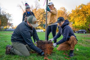Cincinnati Parks Foundtion helping to plant trees in the parks