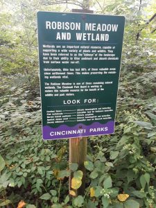 Sign in Kennedy heights park about the Robinson Wetland and Meadow
