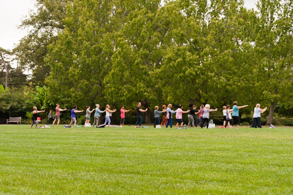 A large group of people are standing on green grass in front of a group of trees. They are practicing Tai Chi with an instructor. Their arms are out in front of them.