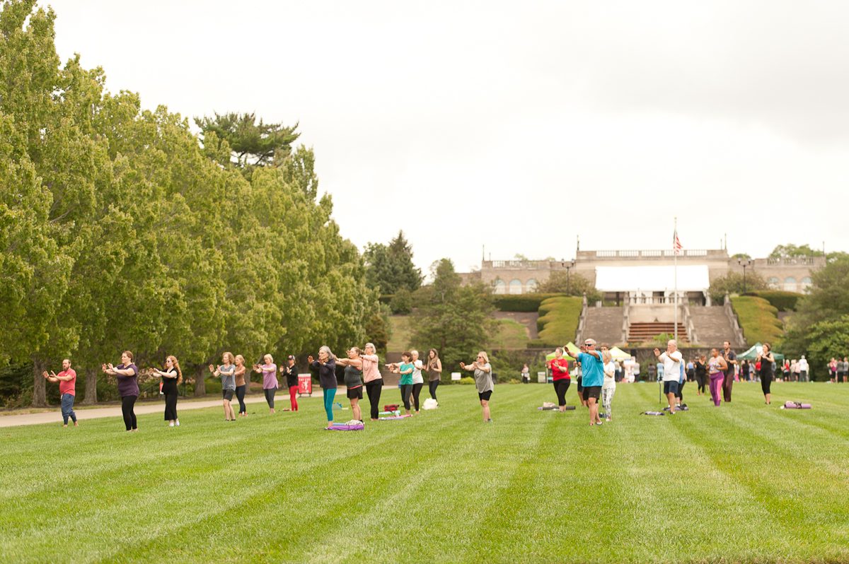 A large group of people on a large lawn doing Tai Chi with an instructor. There is a large stone pavilion in the background.