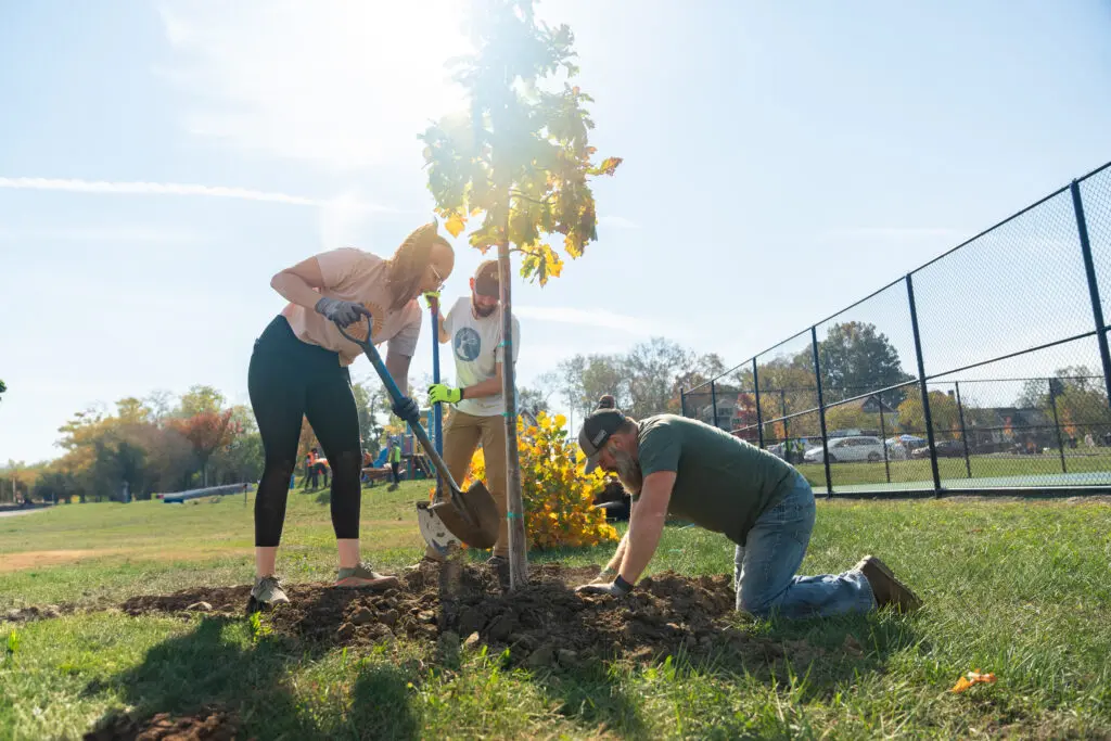 Volunteers planting a tree during Let's Grow Local event in Avondale