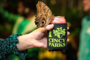 A hand is holding a beer can that is printed with the words I Acorn Cincy Parks. There is a butterfly that is brown with a black spot, perched onto the hand.