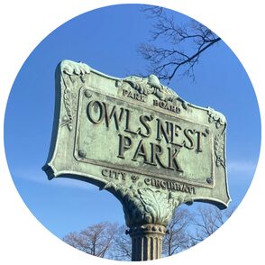 Owl's Nest Web