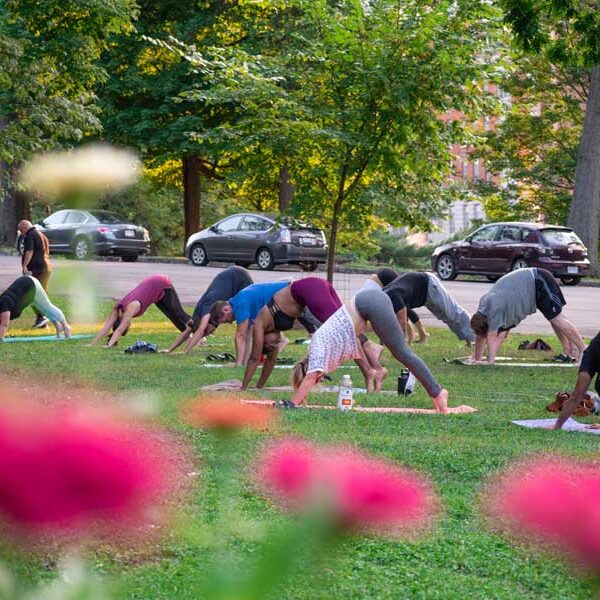 People doing free Cincinnati Yoga at a free wellnes program from Cincinnati Parks Foundation