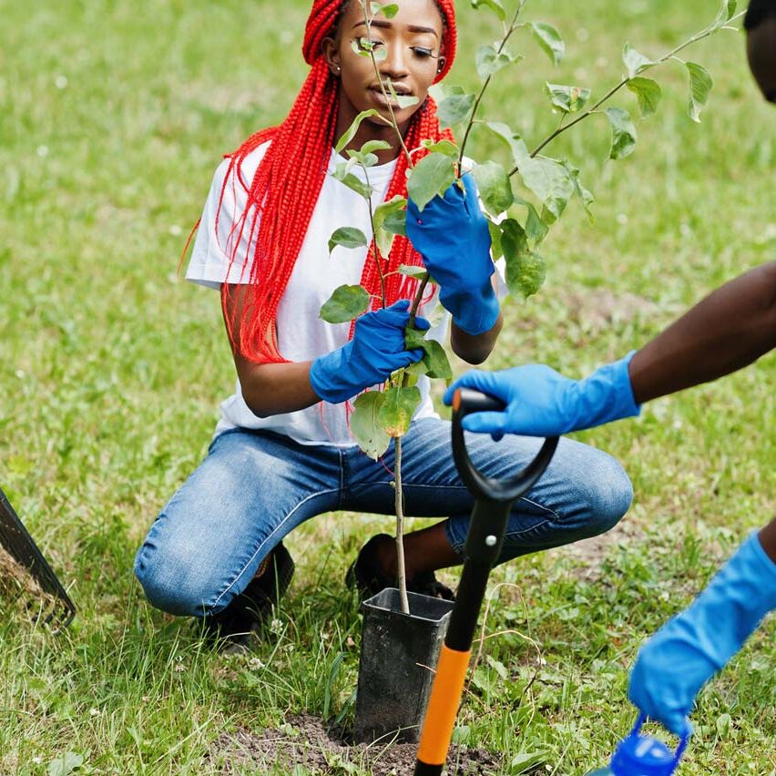 A woman planting a tree in the Fall ReLeaf program